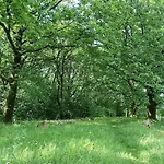 6 Person In Hovborg-by Traum * Hovborg