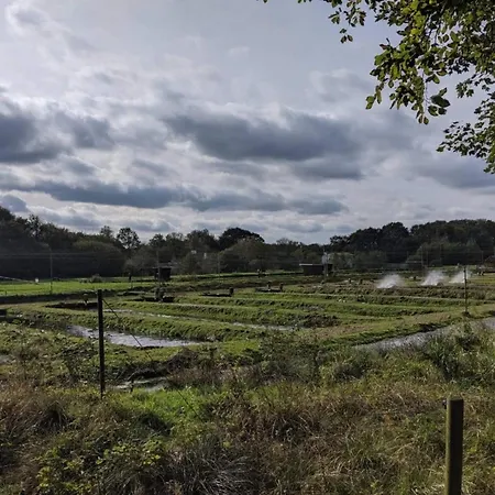 Σπίτι διακοπών 6 Person In Hovborg-by Traum