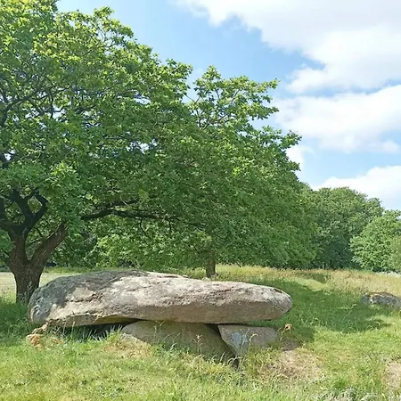6 Person In Hovborg-by Traum Σπίτι διακοπών *