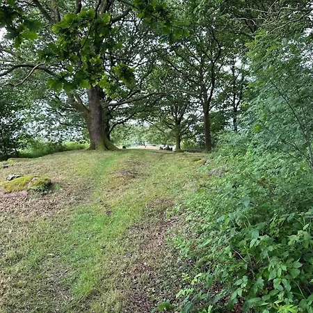 Σπίτι διακοπών 6 Person In Hovborg-by Traum Hovborg