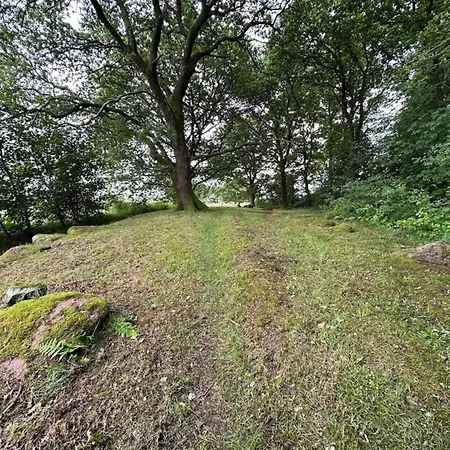 6 Person In Hovborg-by Traum *