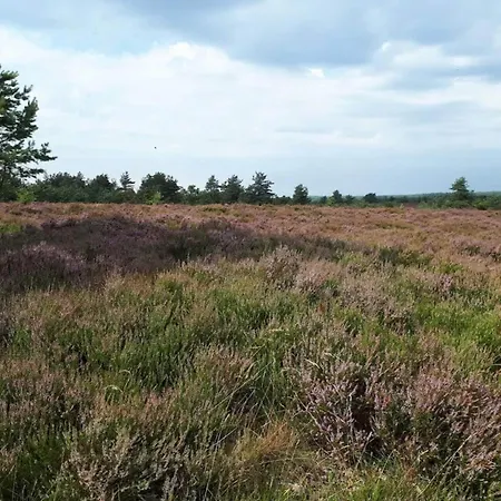 Vakantiehuis 6 Person In Hovborg-by Traum Hovborg