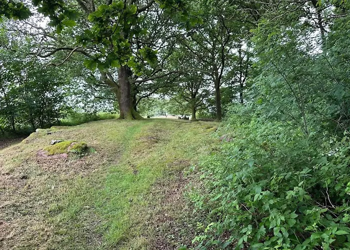 Σπίτι διακοπών 6 Person In Hovborg-by Traum Hovborg