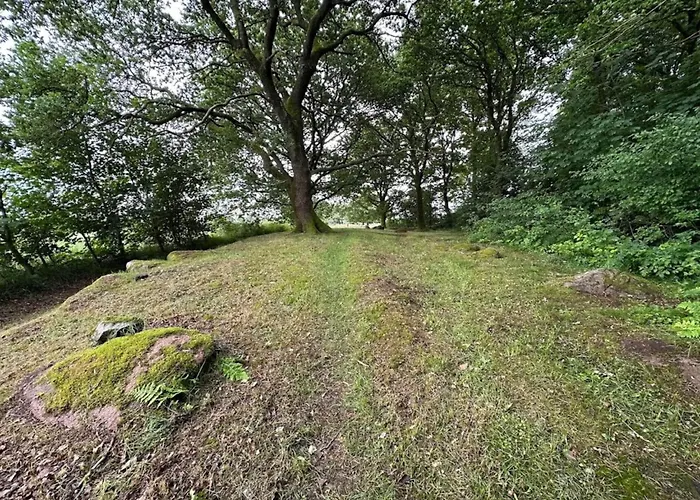 6 Person In Hovborg-by Traum *