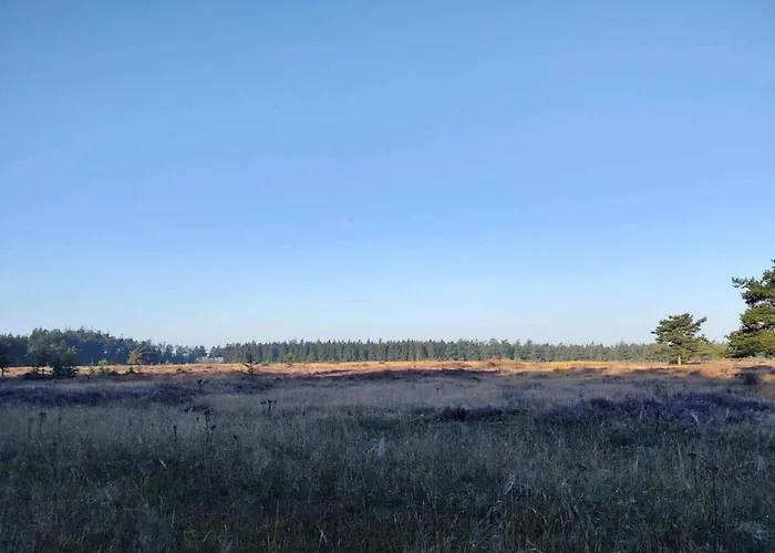 6 Person In Hovborg-by Traum Σπίτι διακοπών *