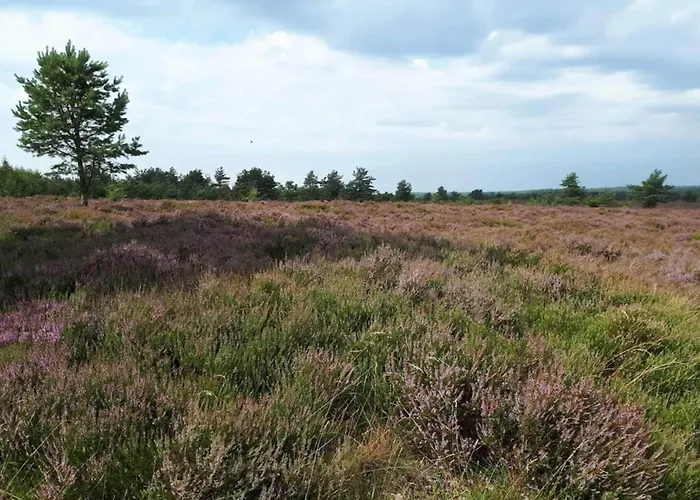 Σπίτι διακοπών 6 Person In Hovborg-by Traum Hovborg