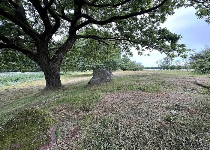 6 Person In Hovborg-by Traum Σπίτι διακοπών Hovborg