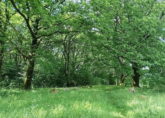 6 Person In Hovborg-by Traum * Hovborg